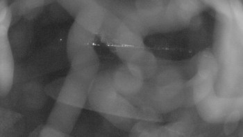 Snímek    3.11.2025 v 18:00