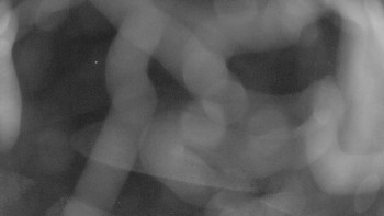 Snímek    4.11.2025 v 04:15