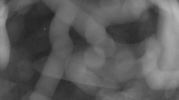 Snímek    4.11.2025 v 05:30