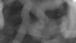 Areál koupaliště Holešov