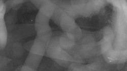 Areál koupaliště Holešov