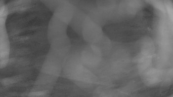 Snímek 6.11.2025 v 00:15