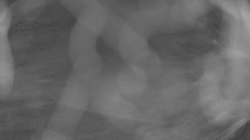 Snímek 6.11.2025 v 00:30