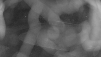 Snímek 6.11.2025 v 05:30