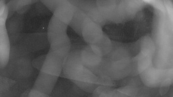 Snímek 6.11.2025 v 19:00