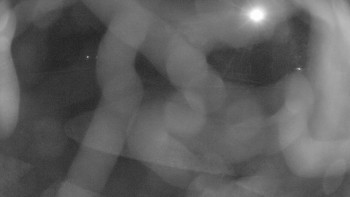 Snímek 7.11.2025 v 19:00