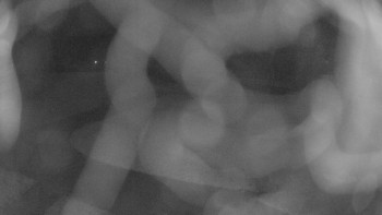 Snímek 7.11.2025 v 20:45