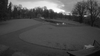 Snímek 8.11.2025 v 06:30