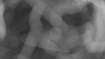 Snímek 8.11.2025 v 21:00