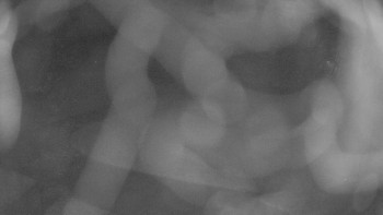 Snímek    8.11.2025 v 22:00