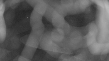 Snímek    9.11.2025 v 03:00