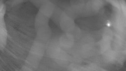 Areál koupaliště Holešov