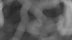 Areál koupaliště Holešov