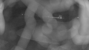 Snímek    14.11.2025 v 06:00