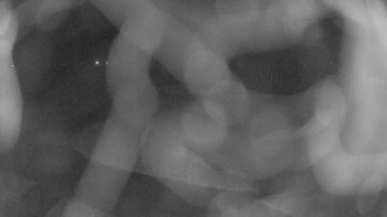 Snímek 15.11.2025 v 00:15