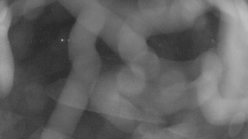 Snímek 16.11.2025 v 00:45