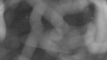 Snímek 16.11.2025 v 04:15