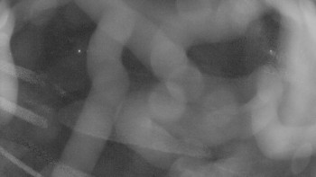 Snímek 17.11.2025 v 06:15