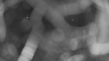 Snímek 17.11.2025 v 17:45