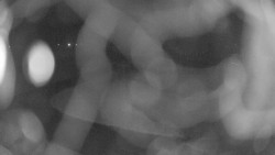 Areál koupaliště Holešov