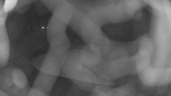 Snímek 17.11.2025 v 20:00