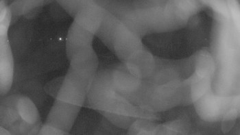 Snímek 17.11.2025 v 22:30