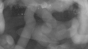 Snímek    18.11.2025 v 06:15