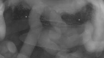 Snímek    18.11.2025 v 17:00