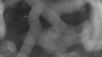 Snímek    19.11.2025 v 00:30