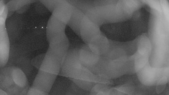 Snímek 20.11.2025 v 20:00