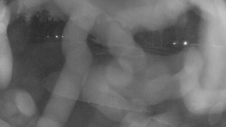 Areál koupaliště Holešov