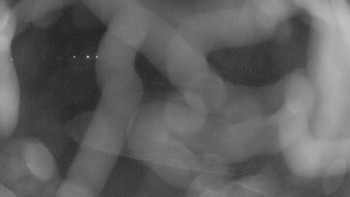 Snímek    21.11.2025 v 23:00