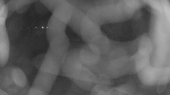 Snímek    22.11.2025 v 19:45