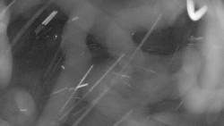 Areál koupaliště Holešov