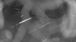 Areál koupaliště Holešov