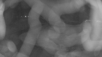 Zámecké koupaliště Holešov