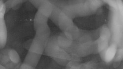 Areál koupaliště Holešov