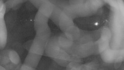 Areál koupaliště Holešov