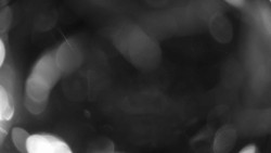 Areál koupaliště Holešov