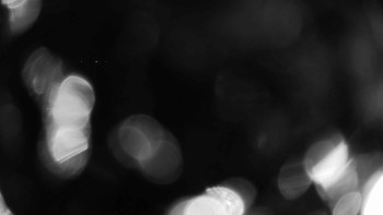 Zámecké koupaliště Holešov