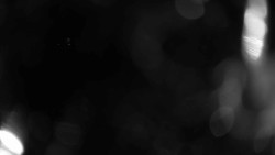 Areál koupaliště Holešov