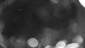 Zámecké koupaliště Holešov