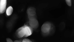 Areál koupaliště Holešov