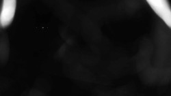 Areál koupaliště Holešov