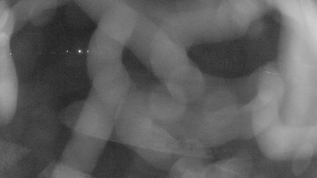 Zámecké koupaliště Holešov