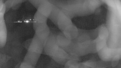 Areál koupaliště Holešov