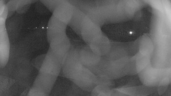 Zámecké koupaliště Holešov