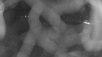 Zámecké koupaliště Holešov