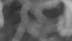 Areál koupaliště Holešov