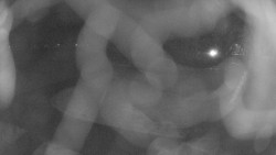 Areál koupaliště Holešov